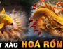 so-sanh-chi-tiet-game-ca-chep-hoa-rong-co-giong-aviator-2025