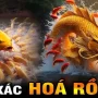 so-sanh-chi-tiet-game-ca-chep-hoa-rong-co-giong-aviator-2025